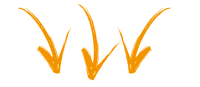 setas-laranja-e1516630726459 setas-laranja-e1516630726459
